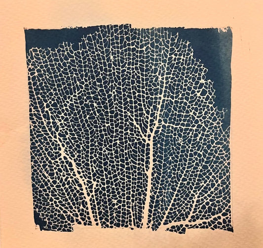 Coral Abanico Mediano