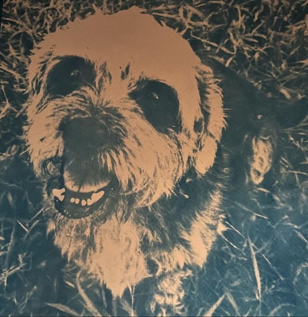 Retrato de mascota por encargo
