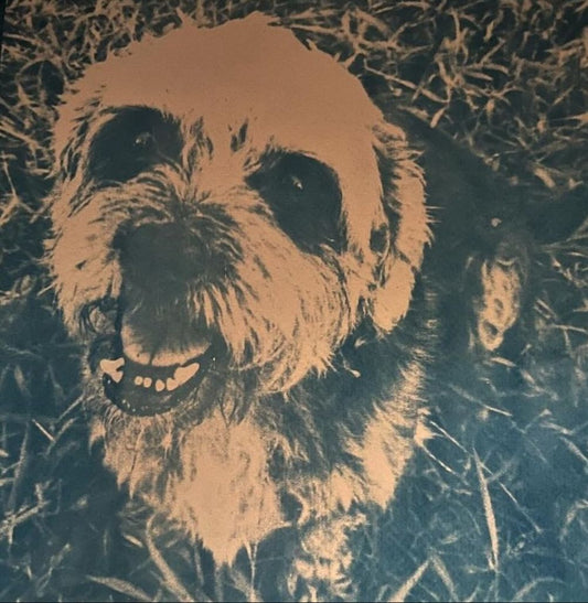Commissioned Pet Portrait